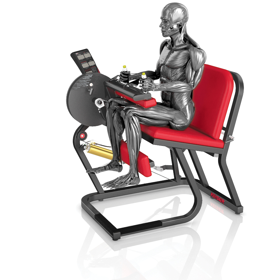 AIR250 Seated Leg Curl® - Imagen 2