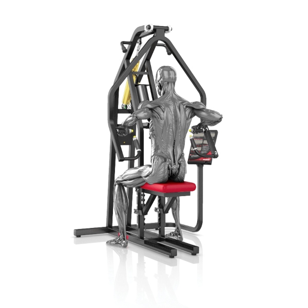 AIR250 Upper Back® - Imagen 2