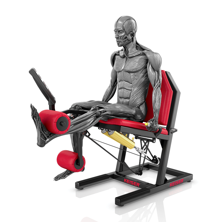 AIR300 Leg Extension Pro® - Imagen 2