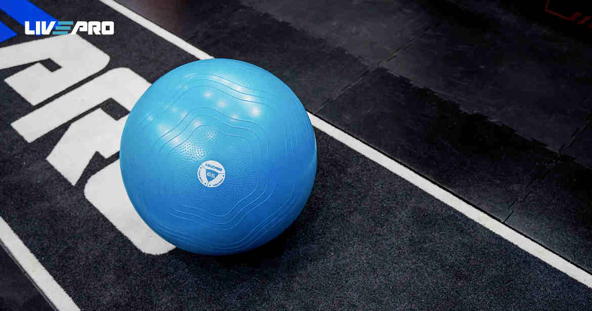 Fit Ball - Imagen 5
